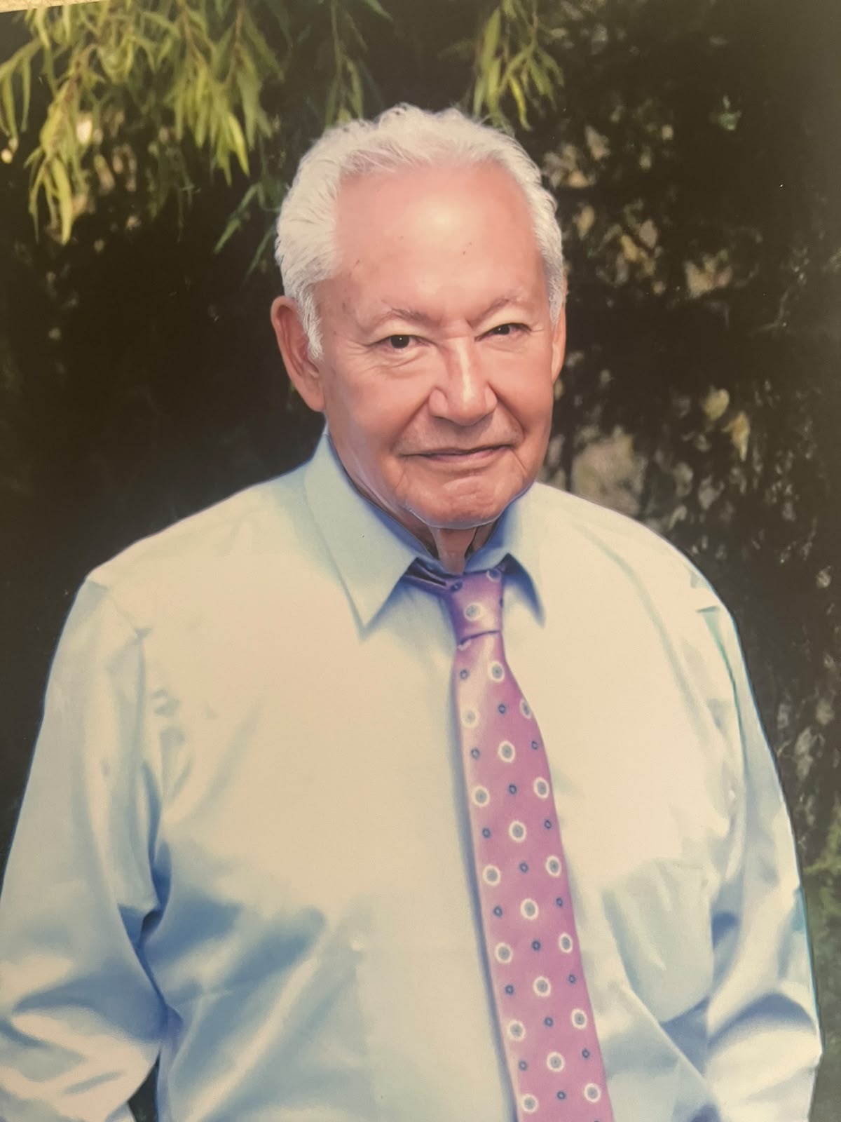 ARMANDO MIRELES DE LA ROSA 
